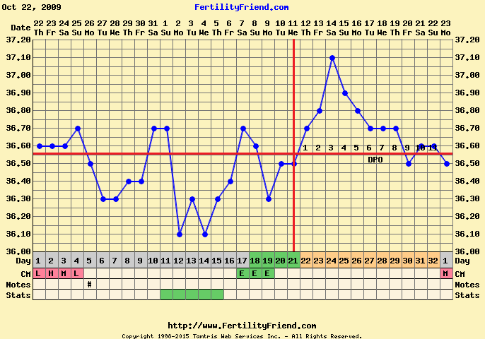 How To Bbt Chart