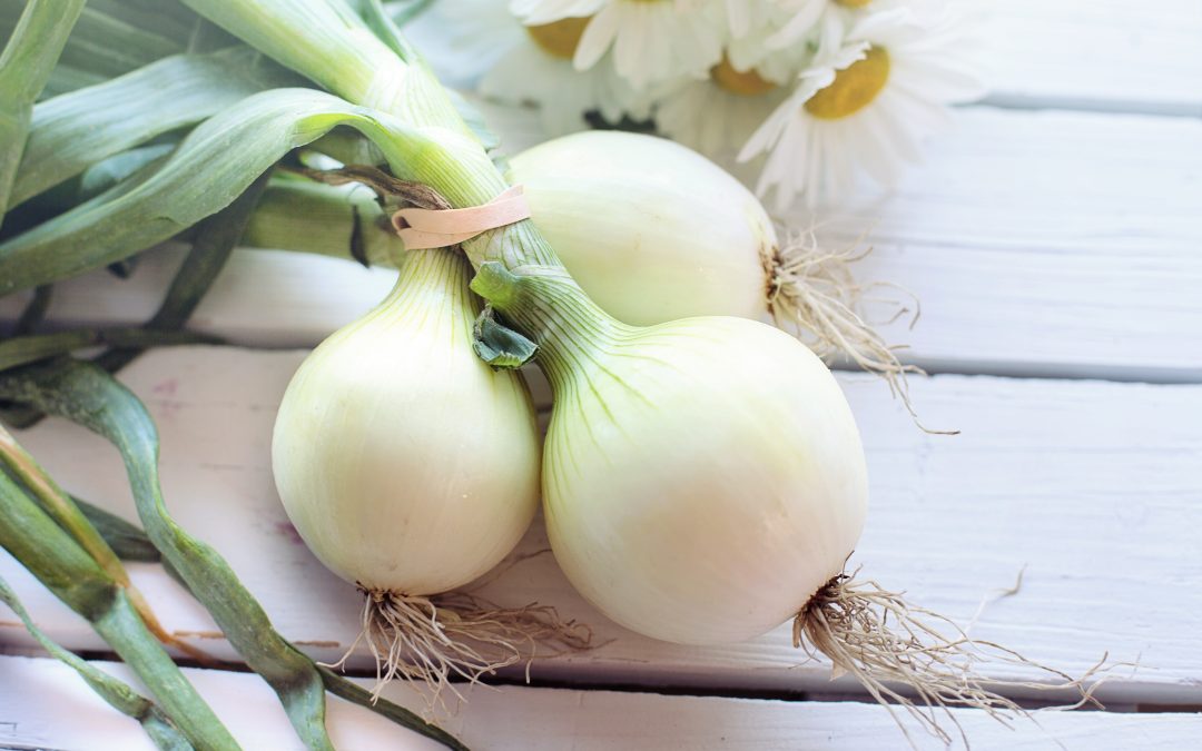 Can Spring Onion Improve Egg or Sperm Health?