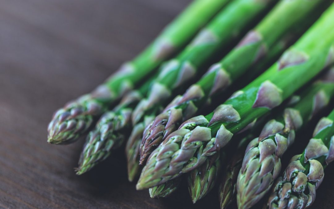 Asparagus – Egg and Sperm DNA Health