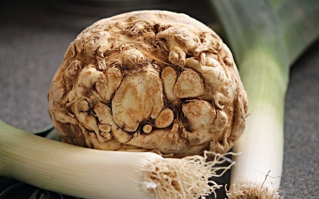 Celeriac, Antioxidants, and Fertility