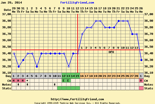 Basal Chart Examples