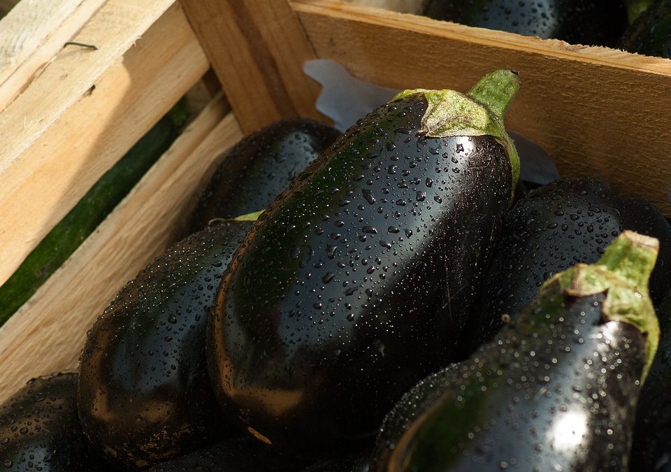 Is Aubergine bad for iron levels?