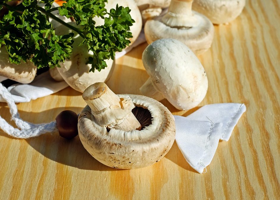 Can Mushrooms Protect Egg and Sperm Health?