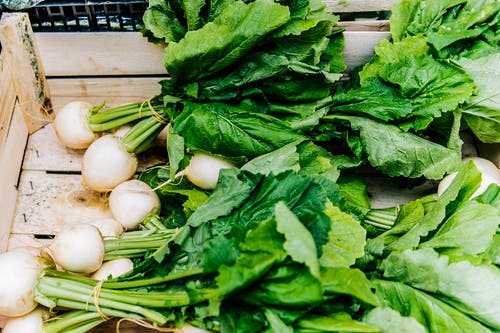 Why you should eat Radish when trying to conceive