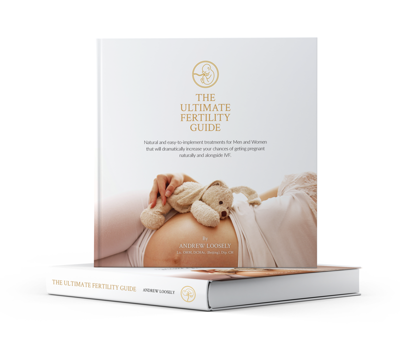 Natural Fertility: The Essential Guide to Improving Your Fertility