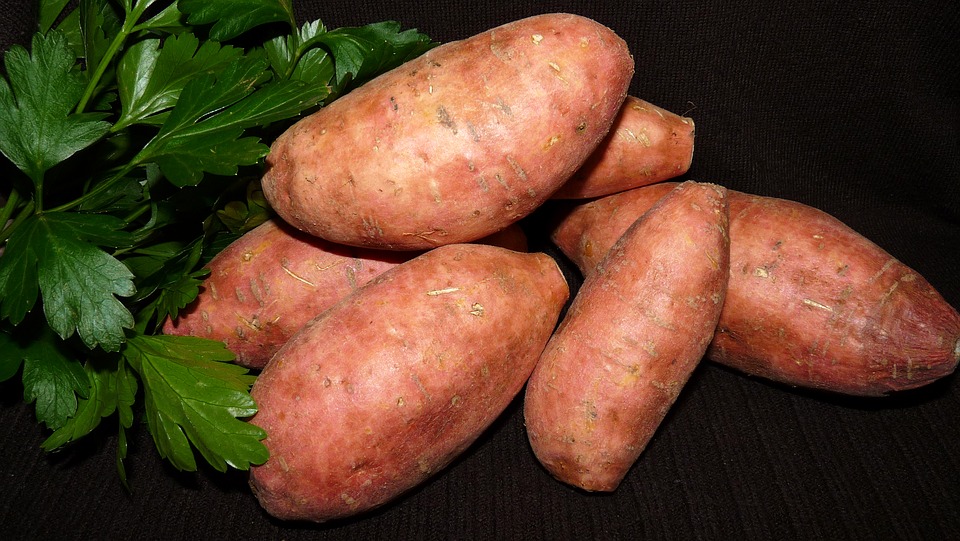Do Sweet Potatoes have too much sugar?
